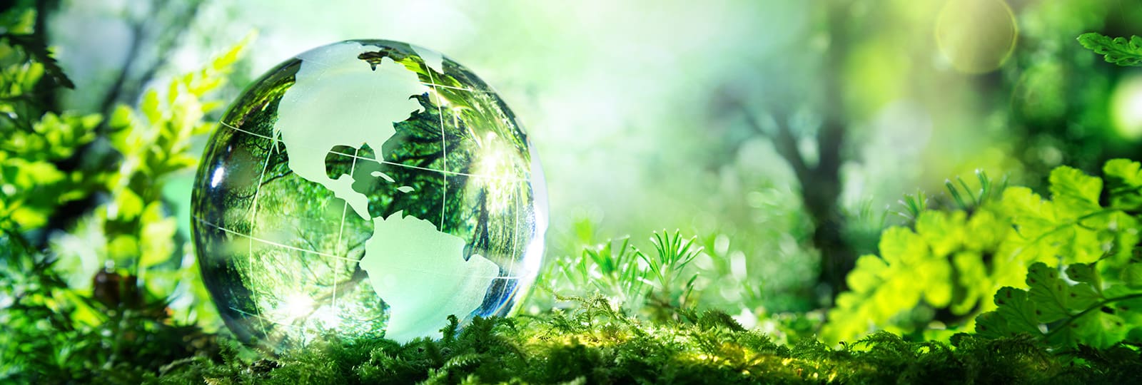 Banner ecologisch Banner ecologisch