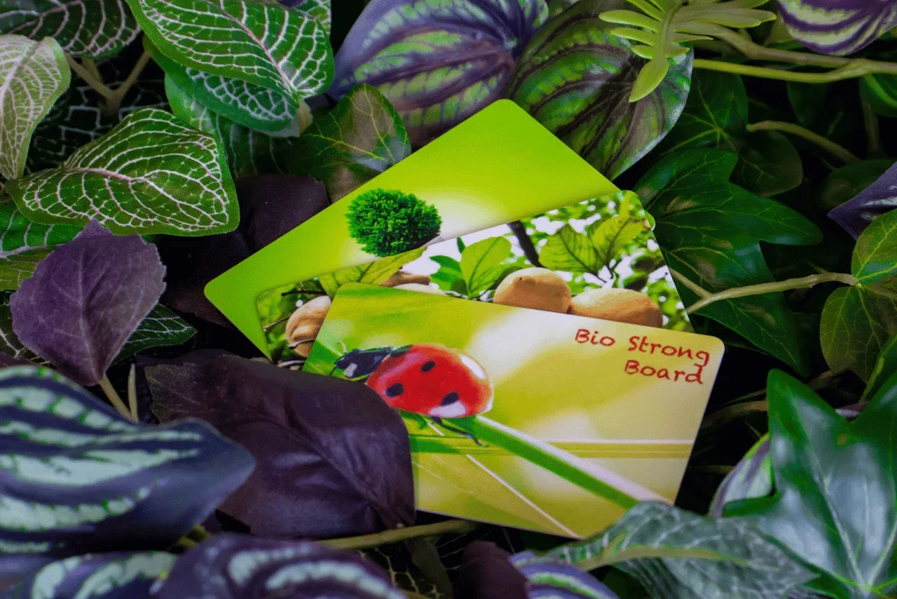 Bio plastic kaarten tussen bladeren