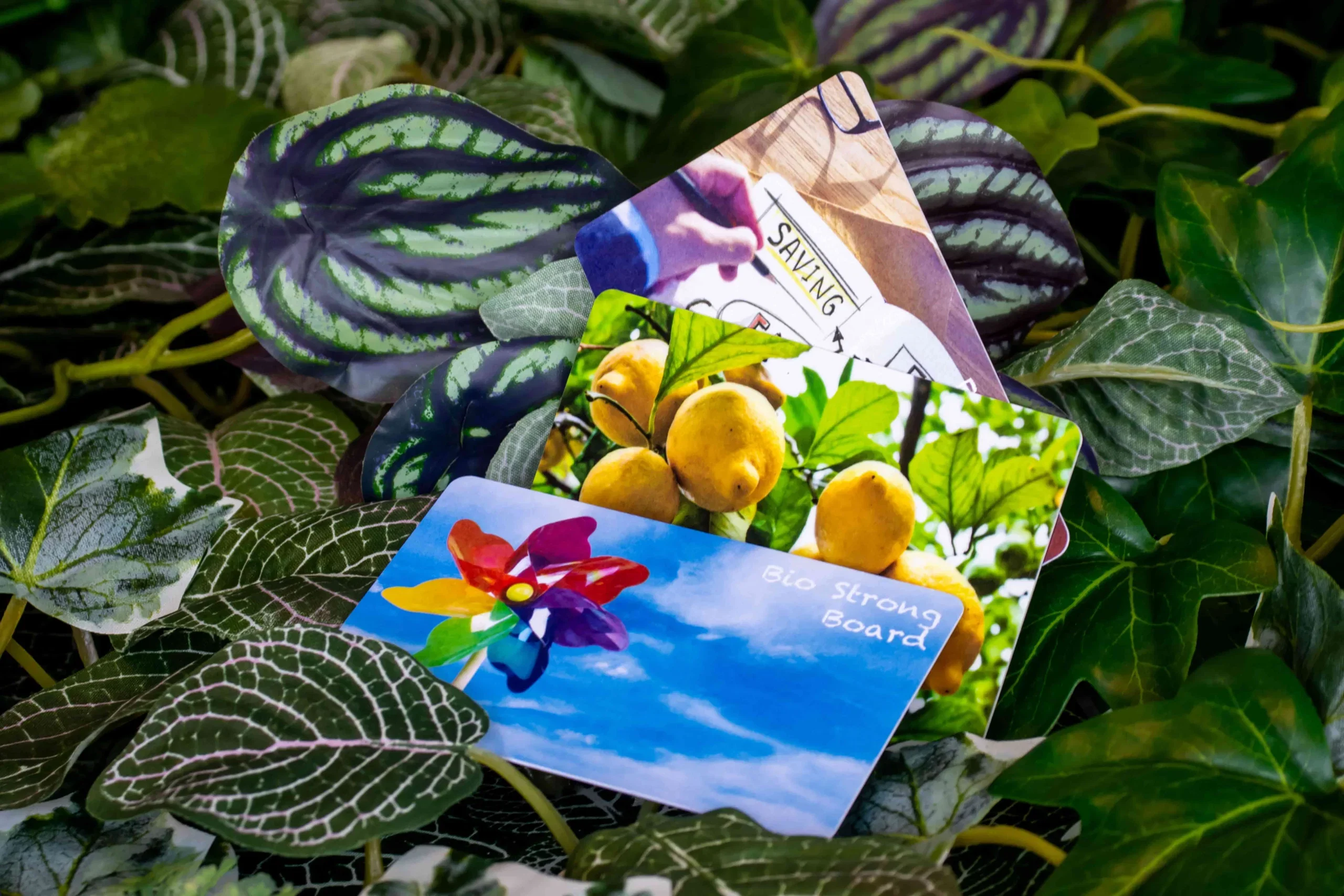 Duurzame plastic kaarten