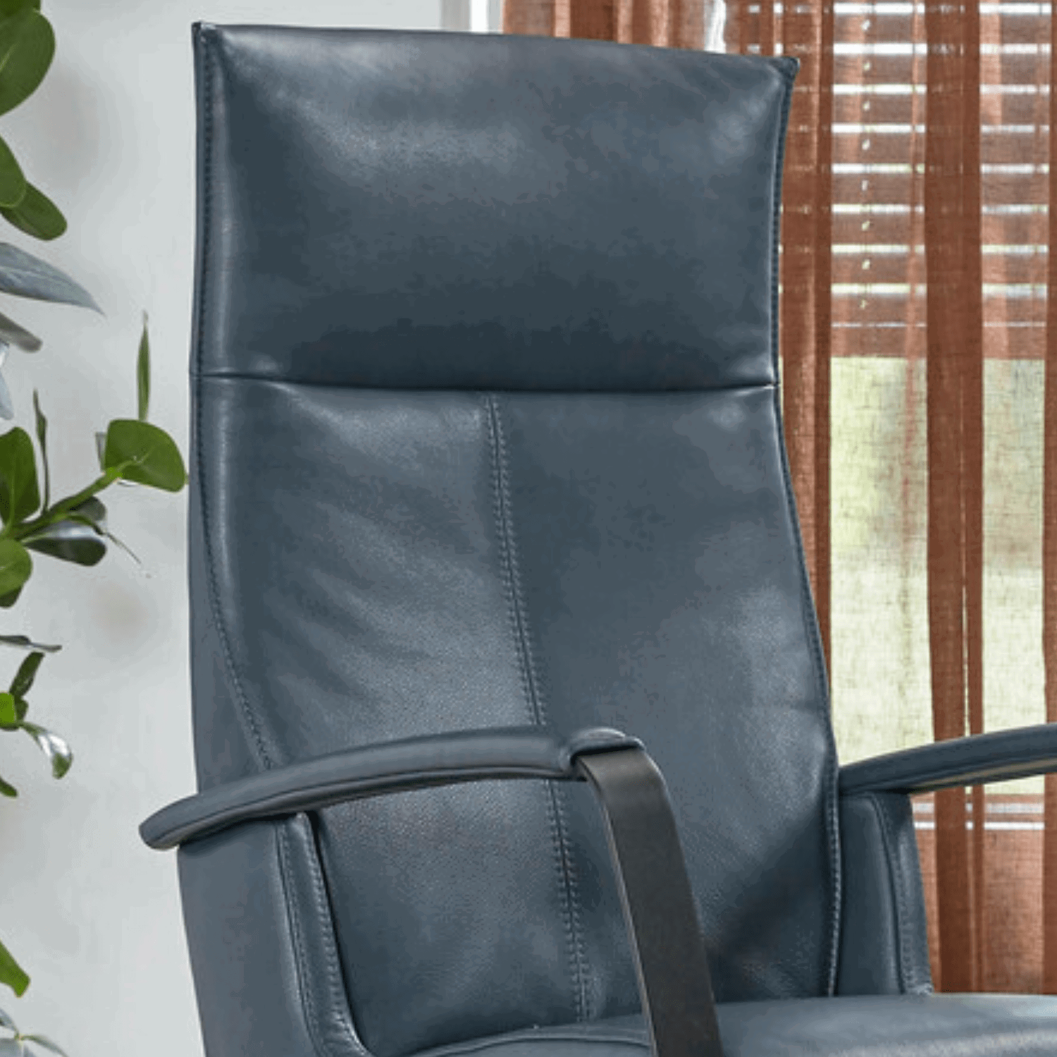 Fabulous 5 detail 3 5 verschillende ruggen