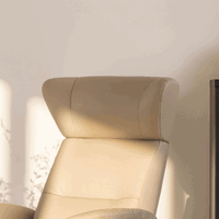 Detail uitschuifbare hoofdsteun elektrische zitstoel