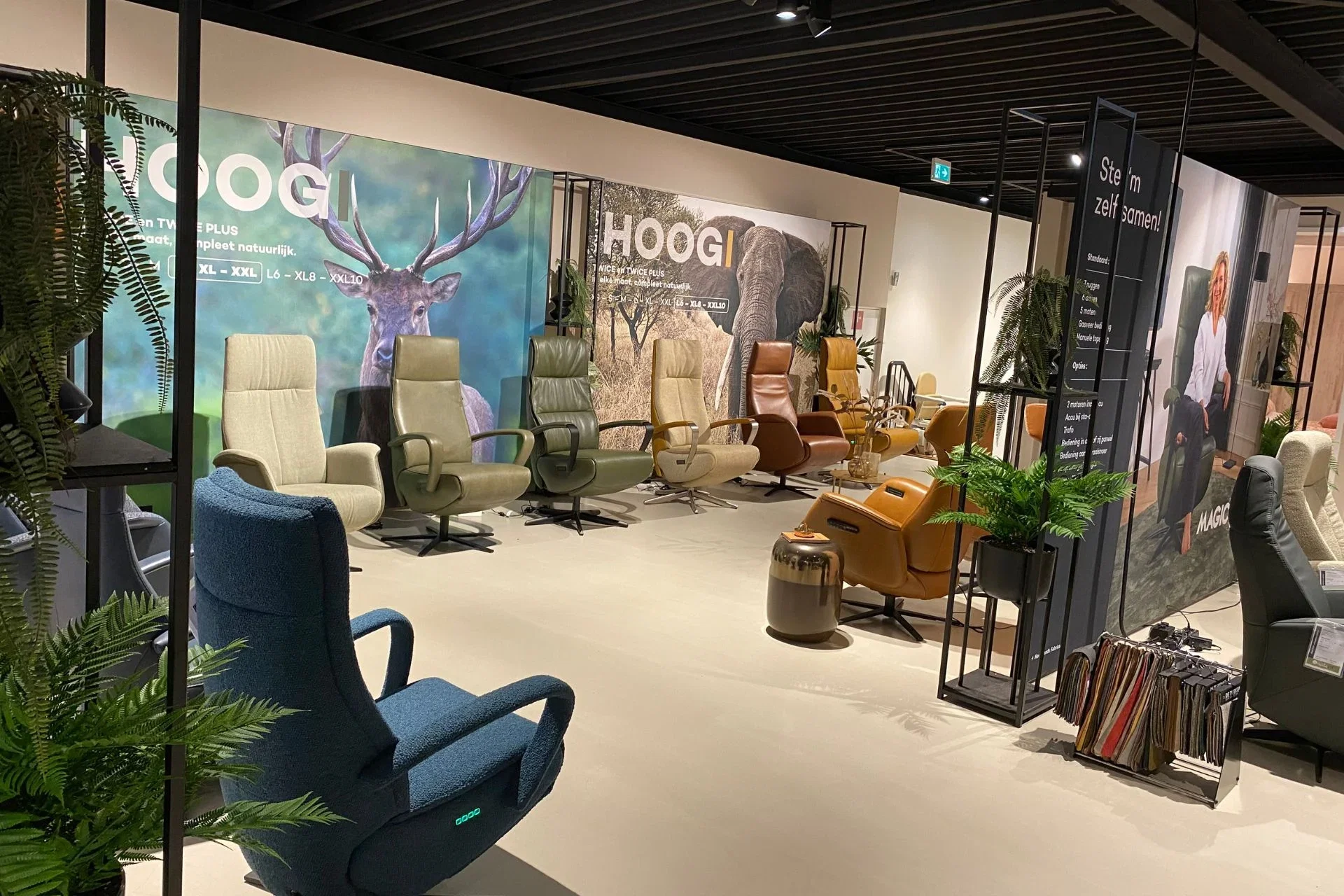 showroom diverse modellen 2