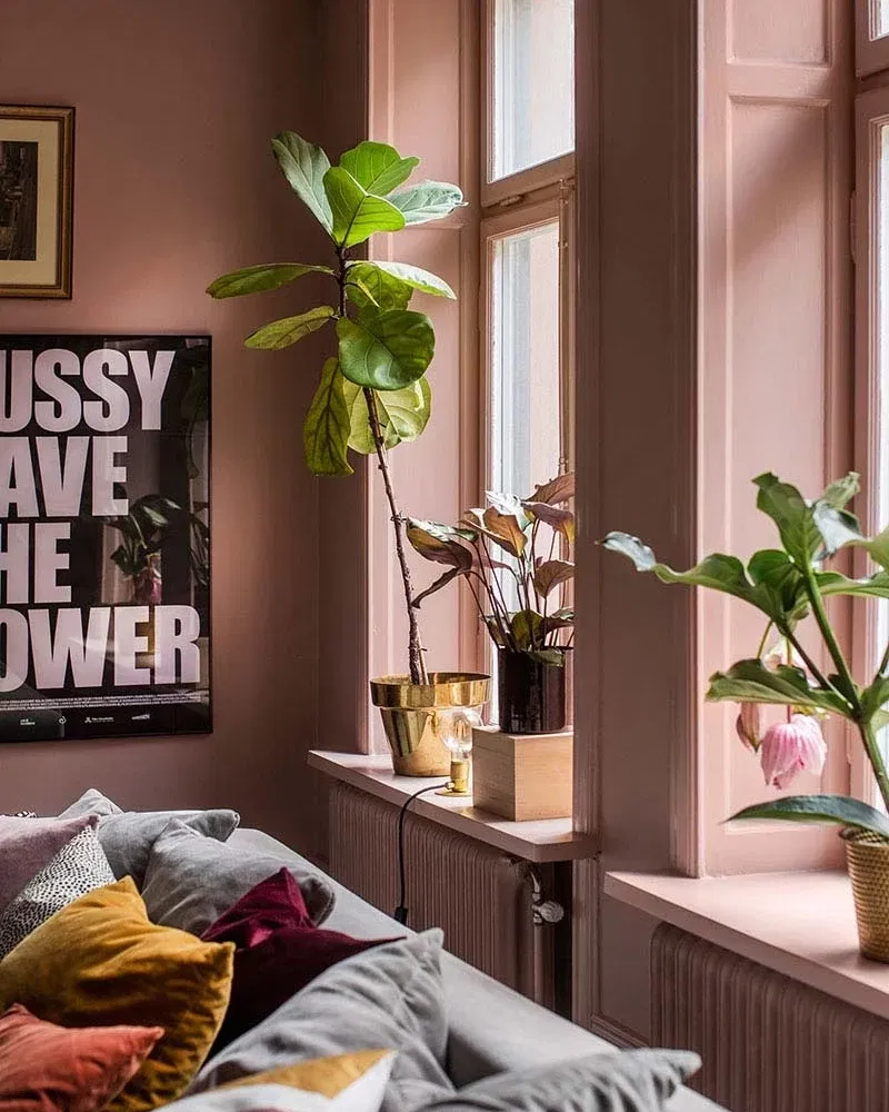 Oud roze – Trend Studio