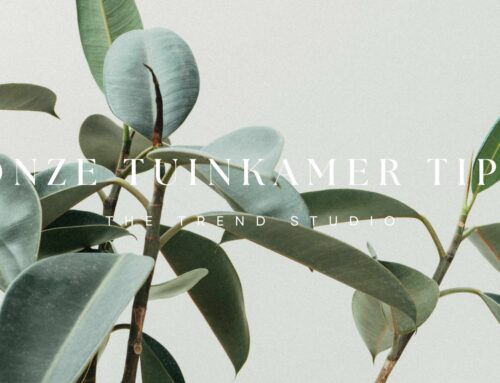 Onze tuinkamer tips