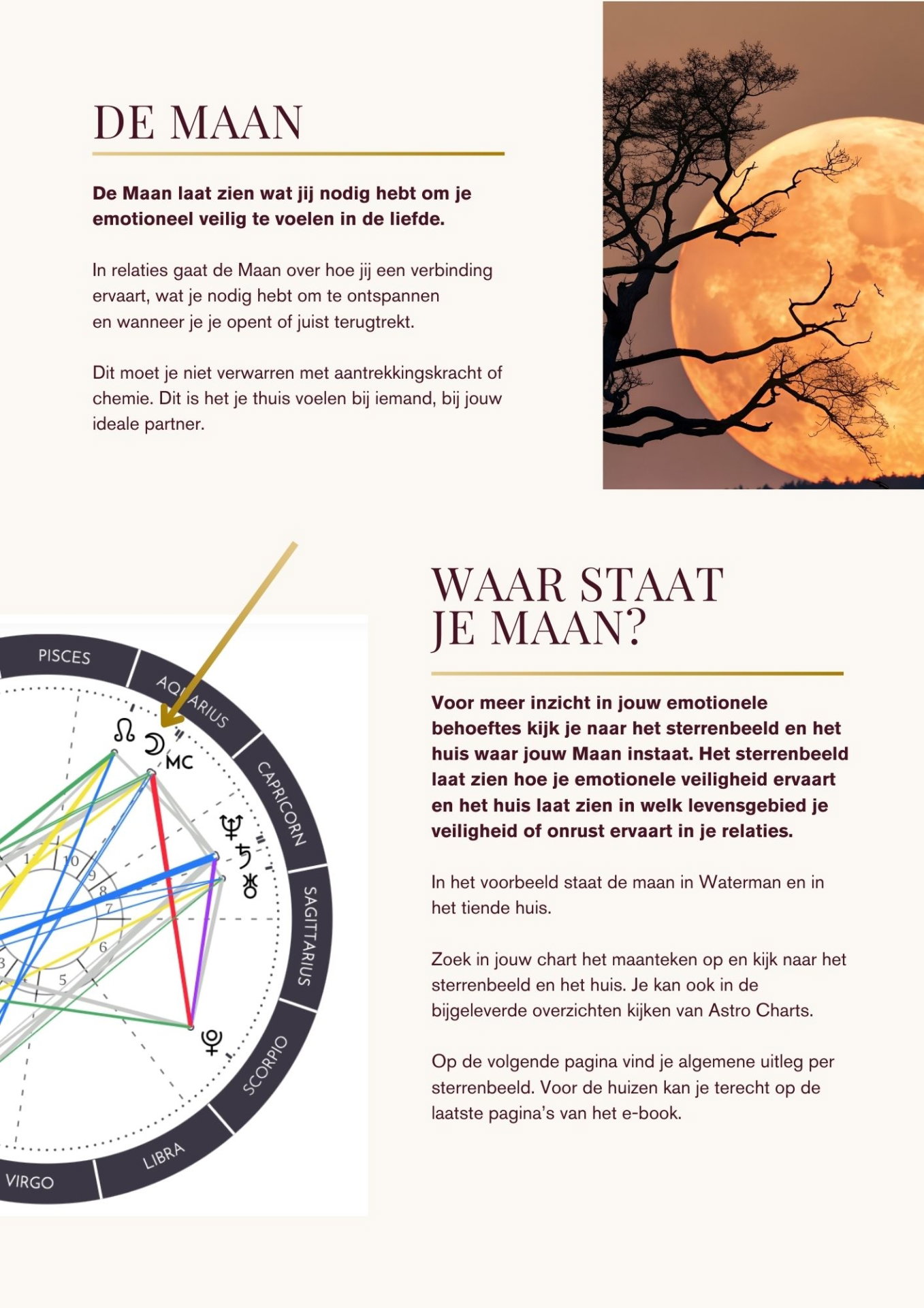 E-book Jouw liefdesleven staat in de sterren! - Afbeelding 2